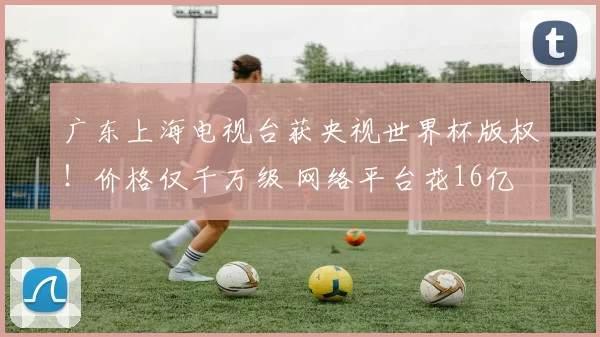 广东上海电视台获央视世界杯版权！价格仅千万级 网络平台花16亿