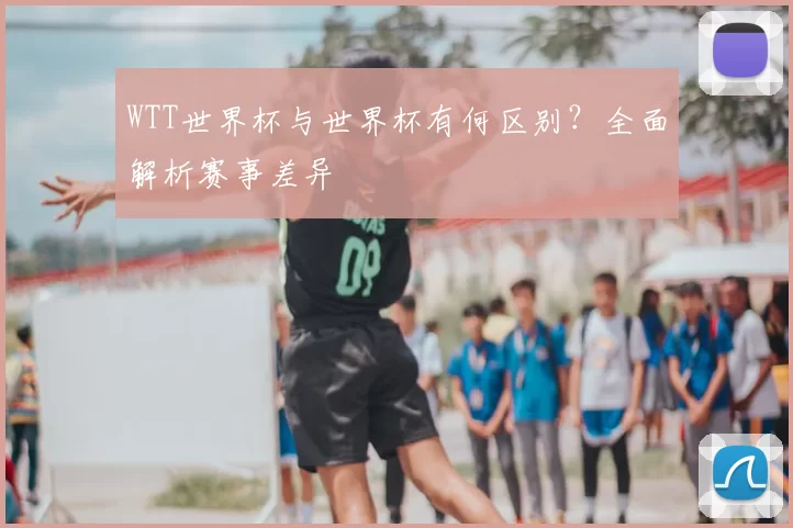 WTT世界杯与世界杯有何区别?全面解析赛事差异
