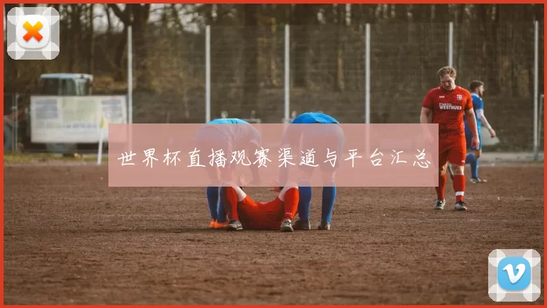 世界杯直播观赛渠道与平台汇总
