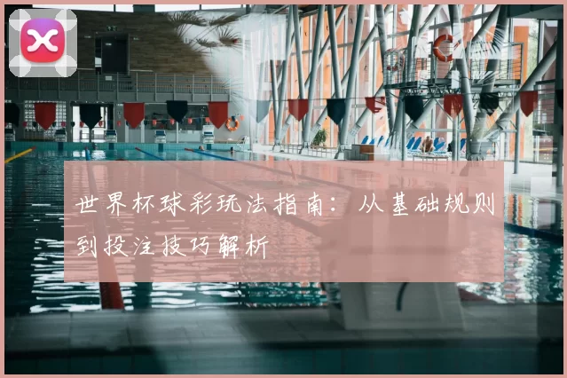 世界杯球彩玩法指南：从基础规则到投注技巧解析
