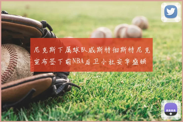 尼克斯下属球队威斯特彻斯特尼克宣布签下前NBA后卫小杜安华盛顿