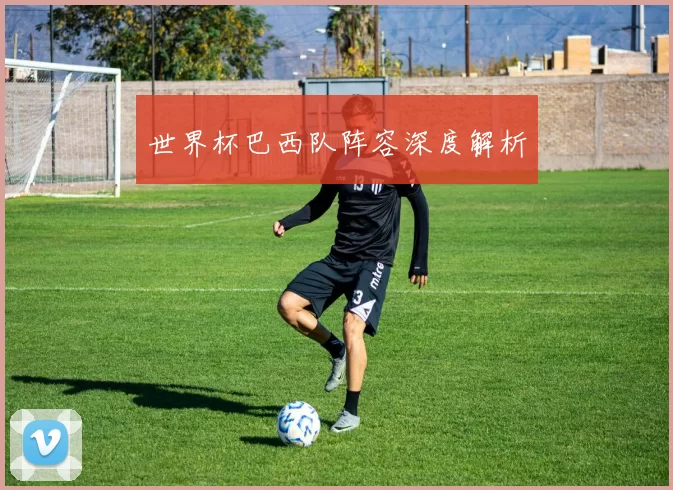 世界杯巴西队阵容深度解析