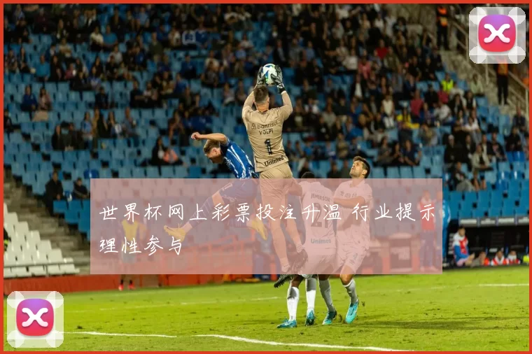 世界杯网上彩票投注升温 行业提示理性参与
