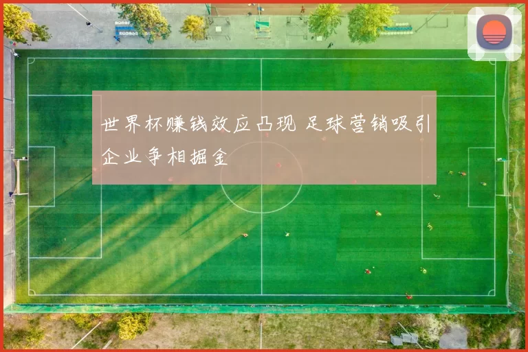 世界杯赚钱效应凸现 足球营销吸引企业争相掘金