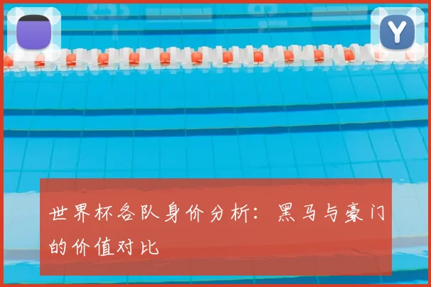 世界杯各队身价分析：黑马与豪门的价值对比