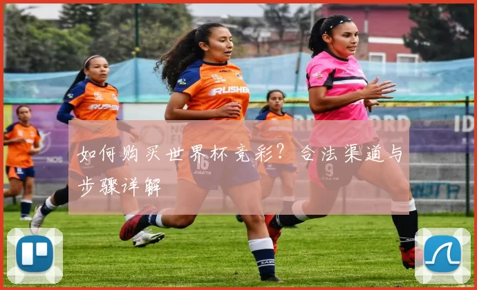 如何购买世界杯竞彩？合法渠道与步骤详解
