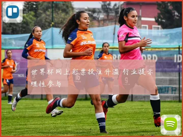 世界杯网上彩票投注升温 行业提示理性参与