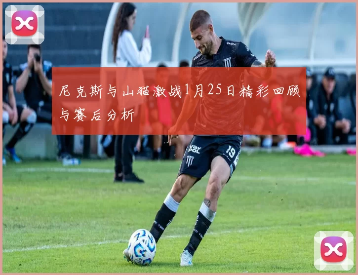 尼克斯与山猫激战1月25日精彩回顾与赛后分析