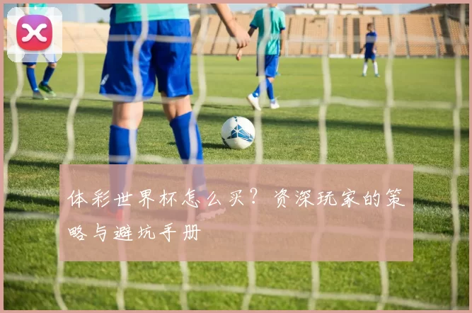 体彩世界杯怎么买?资深玩家的策略与避坑手册