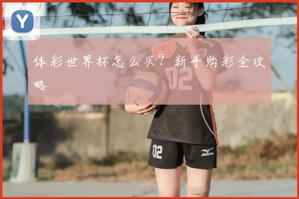 体彩世界杯怎么买？新手购彩全攻略