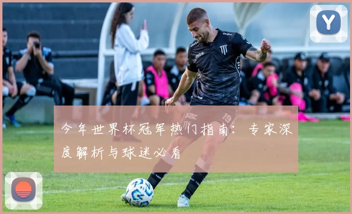 今年世界杯冠军热门指南：专家深度解析与球迷必看