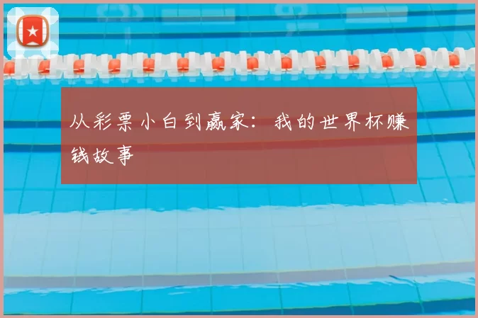 从彩票小白到赢家：我的世界杯赚钱故事
