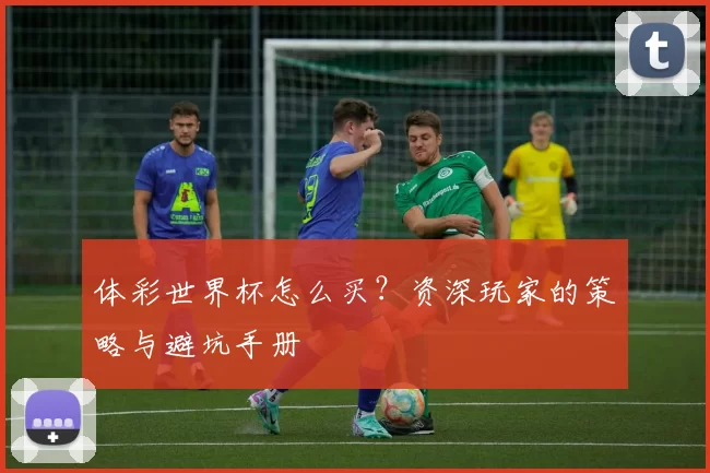 体彩世界杯怎么买？资深玩家的策略与避坑手册